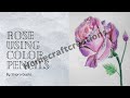Rose Using Color Pencil by Shipra Gupta
