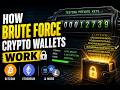 How Brute Force Crypto Wallets Work (Bitcoin, Ethereum & More)