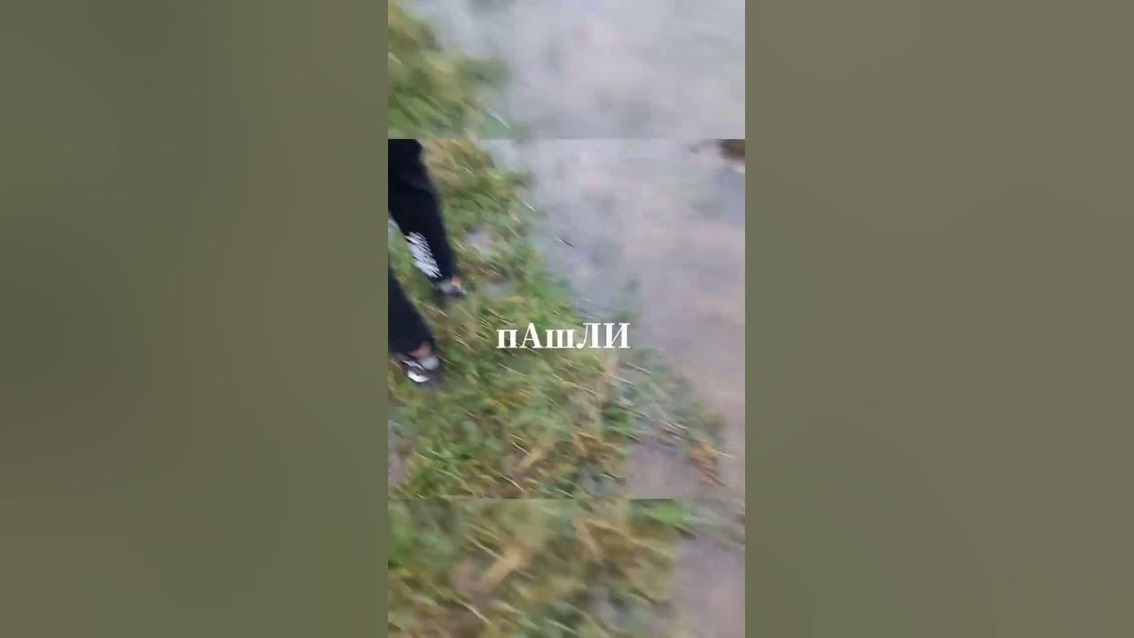 Димааа, Дим, Дима блин! 🤣 - YouTube