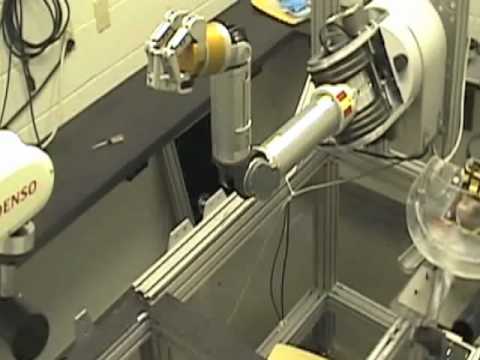Monkey Controls Advanced Robot With Its Mind
