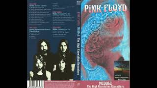 Pink Floyd - Echoes Interviews & Recording Sessions [Meddle The High Resolution Remasters]