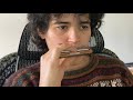 Harmonica Free Willy main theme