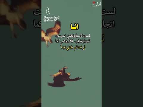 حكمة اليوم أنا لست قاسين