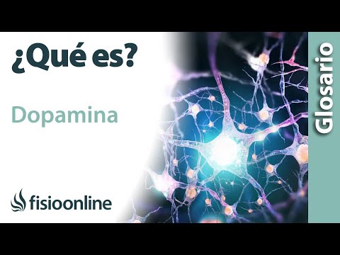 Vídeo: Què és un precursor de la dopamina?