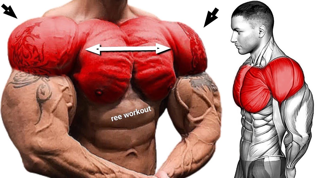 7 Effective Exercises for Your Shoulder and Chest Workout YouTube