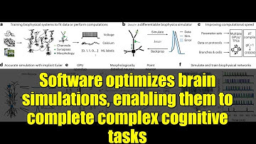 Software optimizes brain simulations, enabling them to complete complex cognitive tasks