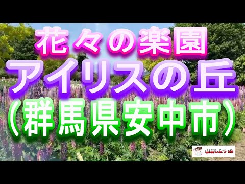 【アイリスの丘】【群馬県安中市】花々の楽園アイリスの丘(群馬県安中市)