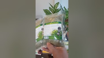 Bột lá khúc nguyên chất Chợ Quê  -  0963.274.216