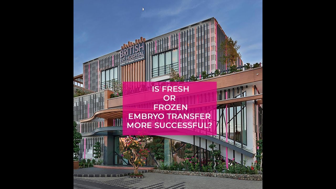 Is fresh or frozen embryo transfer more successful? YouTube