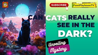 Do Cats See all Colors And Can Cats Really See In The Dark? by PawsPlayhouseTV 76k Subscriber 1.3 M views  33 views 4 months ago 7 minutes, 40 seconds