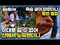 안전장비 하나 없이 맨몸으로 목숨 걸어 따왔더니 이상기후로 벌집에 꿀이 없다ㅣ계속되는 허탕 중 심상치 않은 벌집을 발견하고 산중 노숙하는 인도네시아 목청꾼들ㅣ극한직업ㅣ#골라듄다큐