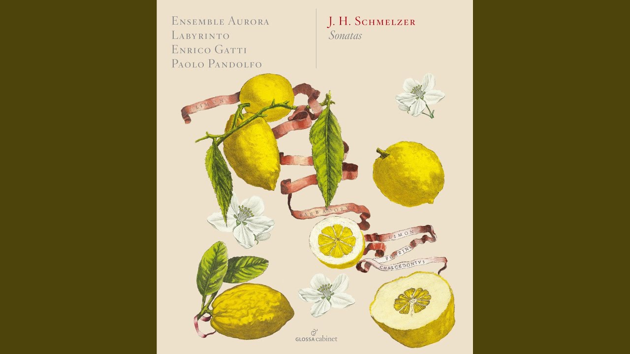 Sacro-profanus concentus musicus: Sonata No. 4 a 6