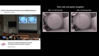 Bruno Poucet: Properties of hippocampal place cells during goal-directed spatial navigation