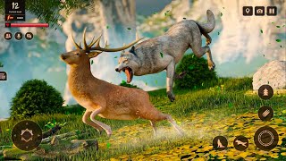 Wolf Family Wild Hunter 3D screenshot 5