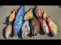 SECRET Spot CAUGHT Them All! Catch Clean Cook (Florida Keys)