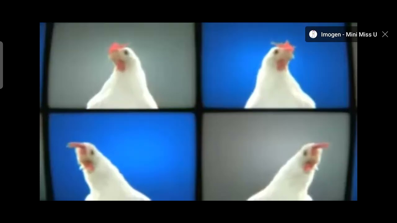 siste høne video - YouTube