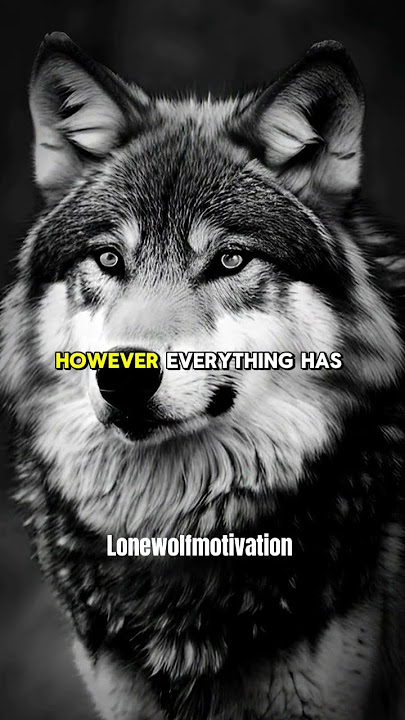 When you see someone always calm - Lone Wolf Motivation