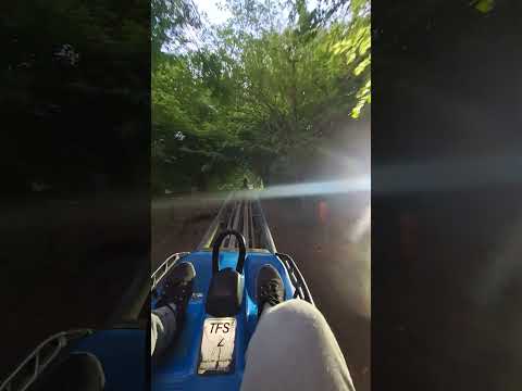 مسیر برگشت سورتمه تالش جنگل