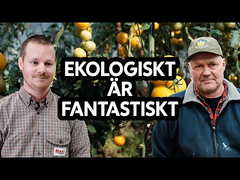 Video: Mätta Kroppen Med Vitaminer Med Grön Rädisasallad