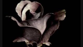 Celaleddin Ada ~ Kara Sevda Resimi