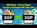 3GP Repair - How to Repair Corrupt or Damaged 3GP Video files