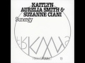 Kaitlyn aurelia smith  suzanne ciani  sunergy full album  frkwys vol13