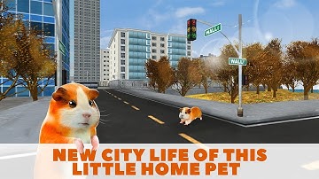 Guinea Pig in the City - Survival Simulator Gameplay Video Android/iOS