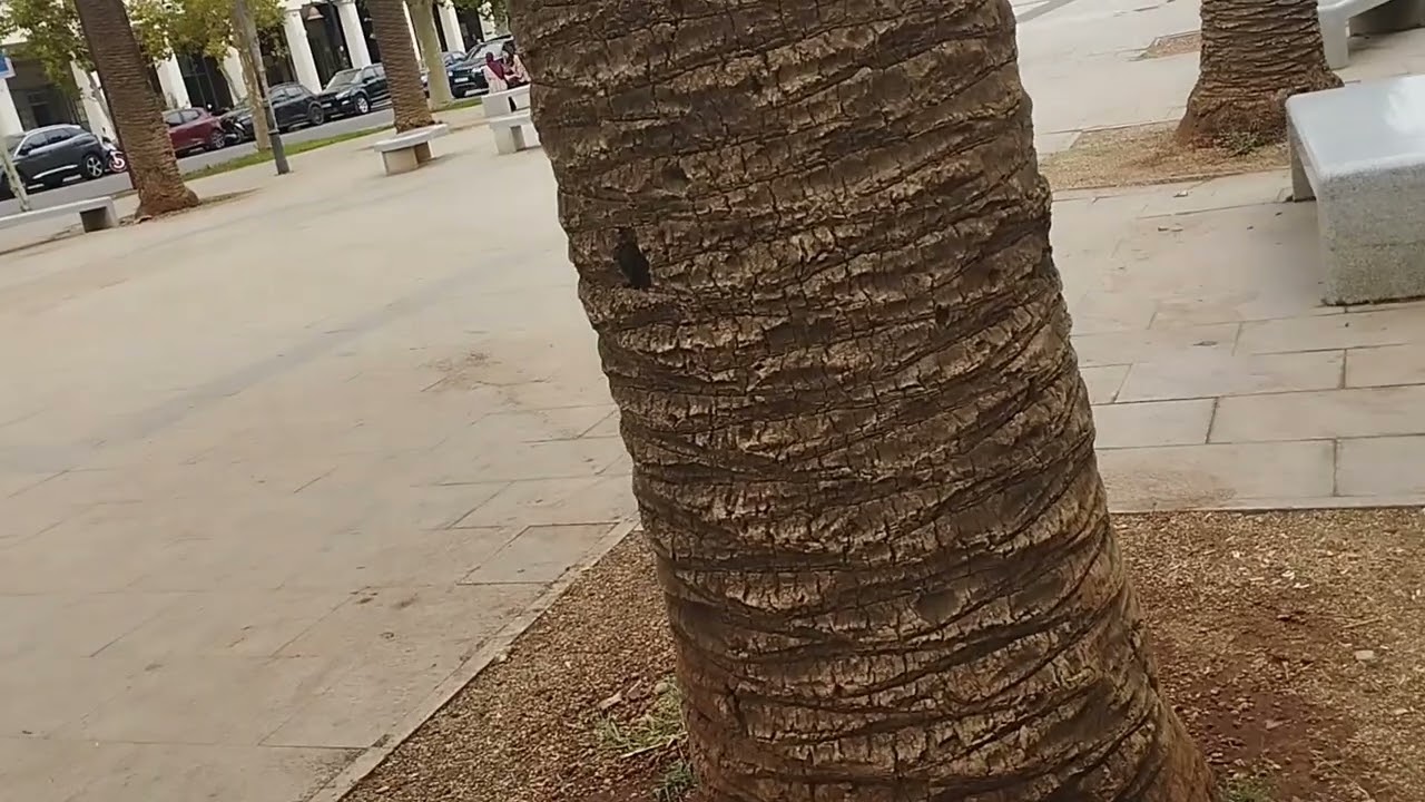 ساريت الوالدة ديالي في مدينة فاس وعجبها الحال بزاف 🥰😊