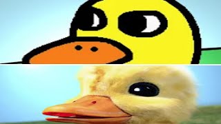 The Duck Song Comparison: Original VS IRL