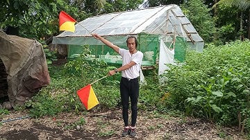 Semaphore Flag Signals And Phonetic Alphabet SCS SY2021-2022 #HATSS #creatinglifeschampions