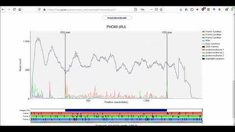 Trips-Viz: Single Transcript Plot