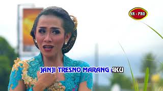 Aprillia Sucipto - Tembang Tresno | Dangdut ( Music Video)