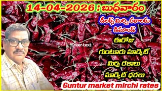 15-April-2026 Guntur Market Mirchi Ratesగటర మరకట మరచ ధరలगटर मरकट मरच दरल