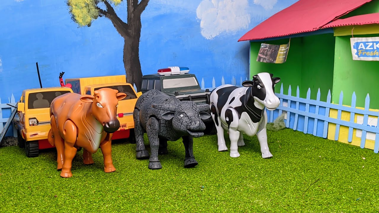 Menemukan Mainan Sapi Dan Kerbau Berjalan!
