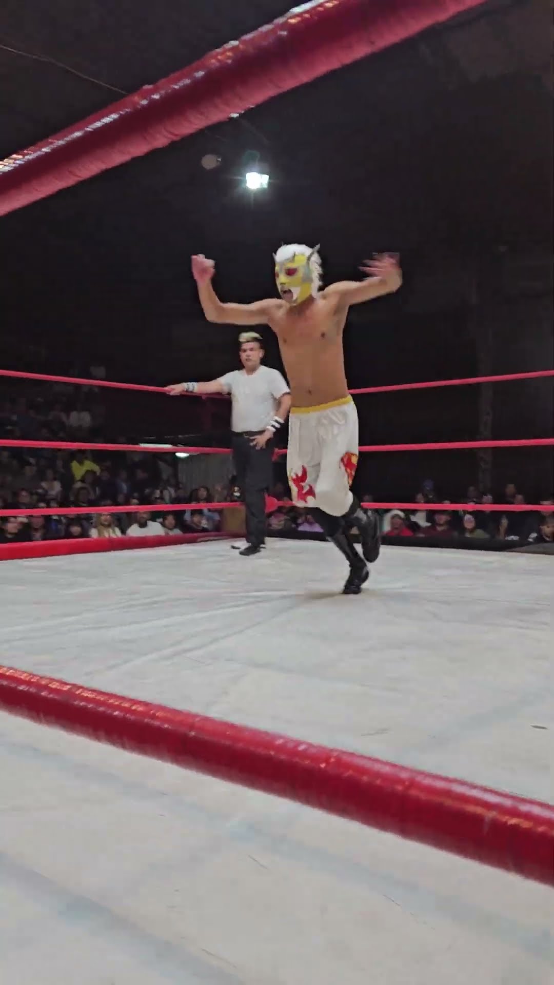 Mortal de León Rojo Jr con Lucha Libre BOOM