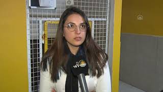 Vanda Sokağa Bırakılan 14 Pitbull Cinsi Köpek Barınağa Alındı