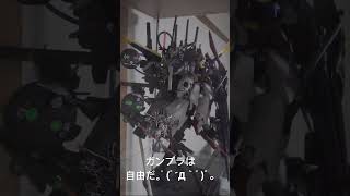 ガンダムビルドファイターズ私のZガンダムニブンノイチ instagram threads twitter tiktok world