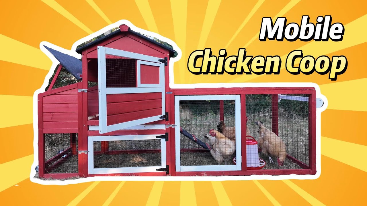 Aivituvin Mobile Chicken Tractor AIR72, Chicken Coop for 2-3 Chickens,