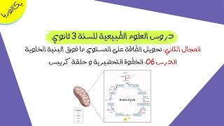 درس 06: الخطوة التحضيرية و حلقة كريبس | بكالوريا علوم تجريبية