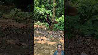 #funny #monkey #funniestvideo #monkeychallenge #comedy #sillyness #animals #bloopers #minivlog #vlog