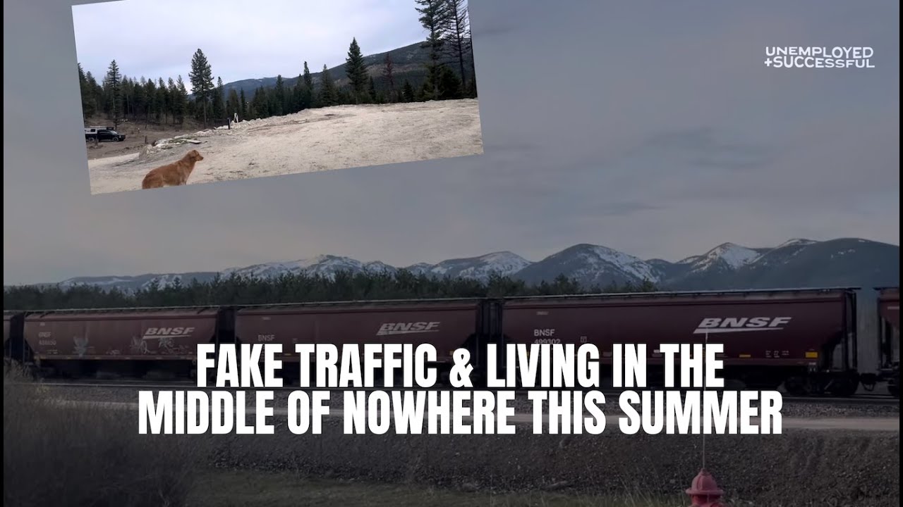 FAKE TRAFFIC & LIVING IN THE MIDDLE OF NOWHERE THIS SUMMER 56/365