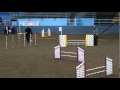 Jackson Agility Jackson Agility