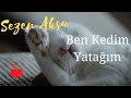 Ben Kedim Yatağım Sezen Aksu Subtítulos En Español