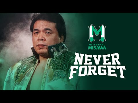 三沢光晴 川田利明 フィギュア プロレス ノア プロレスリングノア 三沢光晴 川田利明 フィギュア - メルカリ