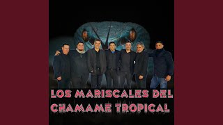 Vignette de la vidéo "LOS MARISCALES DEL CHAMAME TROPICAL - Manos de Tijera"