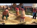 Whinnowing wheat in Nepal