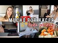 RUTINA LIMPIEZA TARDE de DOMINGO | organiza + cocina | PREP para la SEMANA Laura Ballesteros