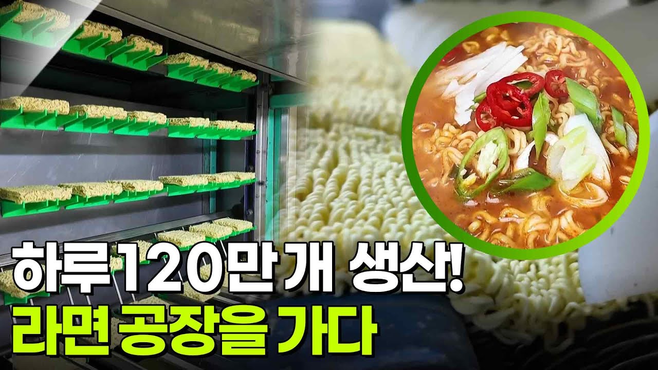 新vj특공대 : 하루 120만 개 생산! 라면 공장을 가다 [2TV 생생정보] | KBS 250820 방송