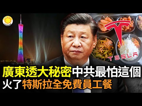 ?广东透露大秘密！中共最怕的是这个...；特斯拉员工餐火了 牛肉、水果全免费，不分等级；习近平为挽回亡党，罕见异动高层人事布局【阿波罗网AS】