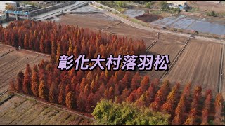 #彰化大村落羽松 空拍 #mavicair #capcut
